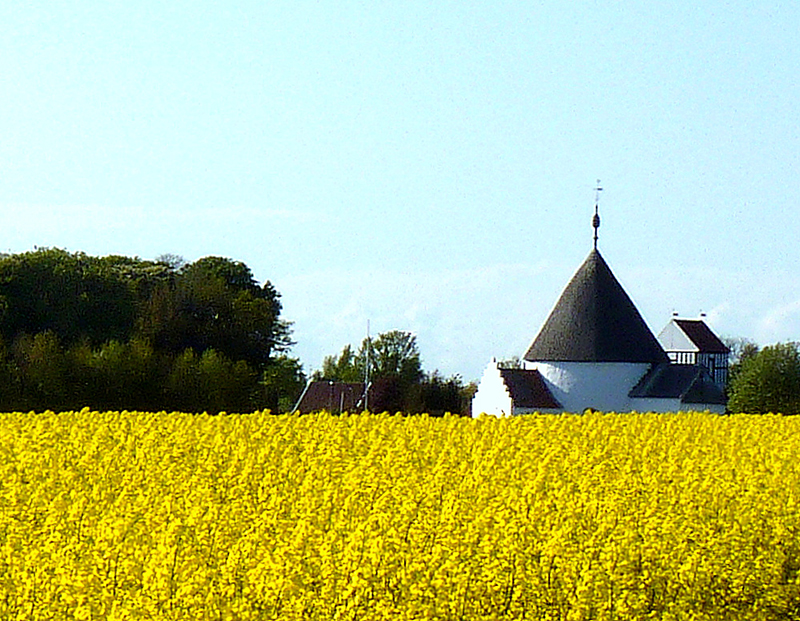 Galeriebild