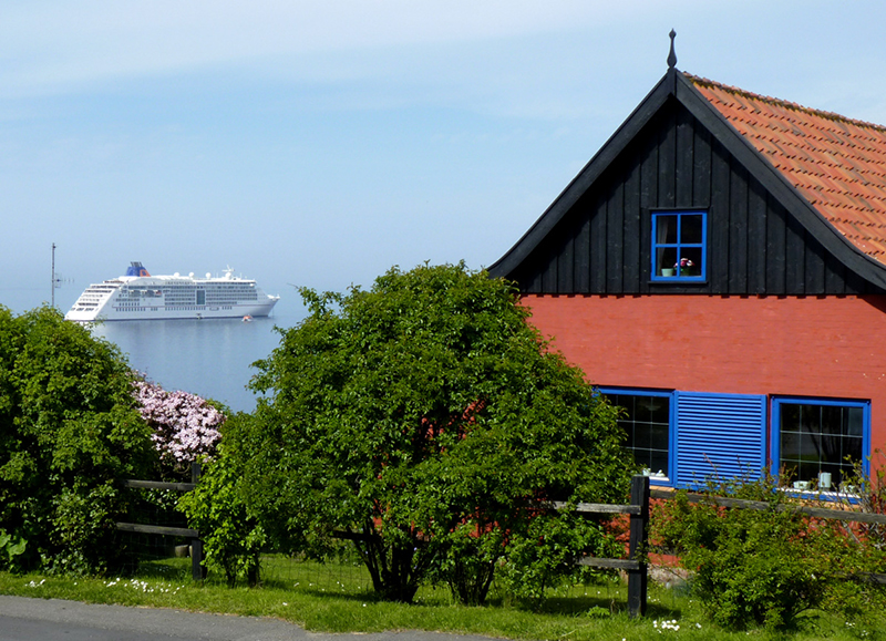 Galeriebild