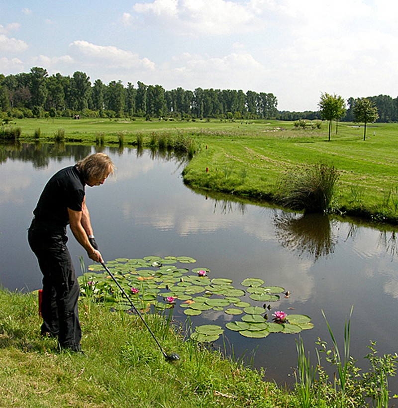Galeriebild