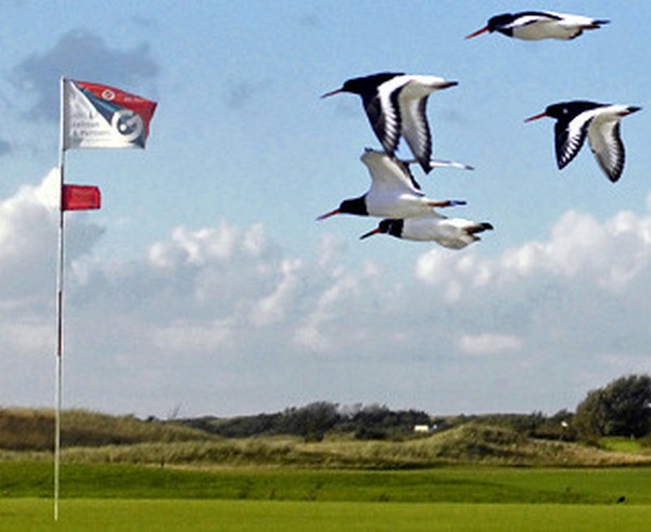 T E X E L - pittoreske Dörfer und ein schöner Golfplatz 